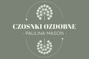 Czosnki ozdobne